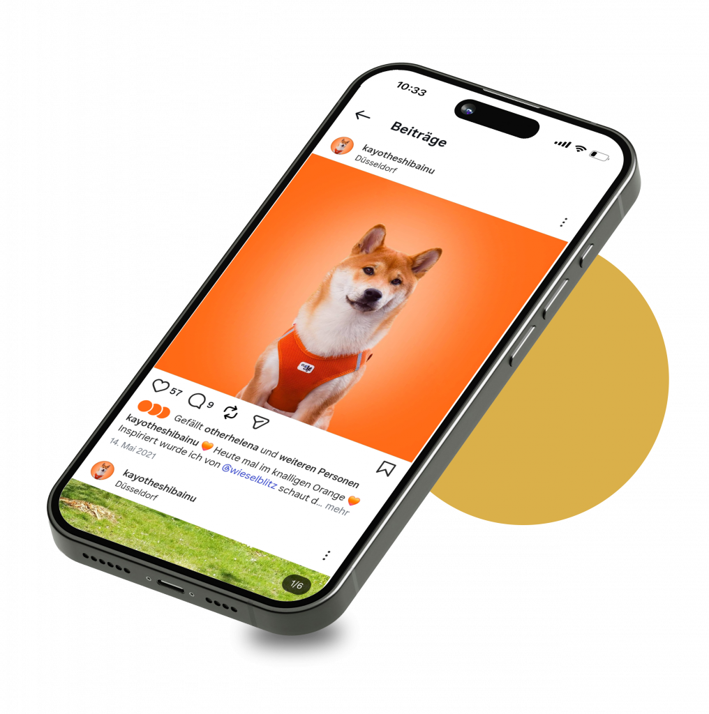 iPhone Mockup-Darstellung eines Instagram-Beitrages mit Hunde-Content | Kremer Signature Design