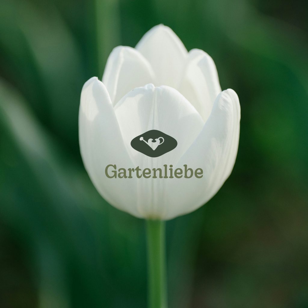gartenliebe