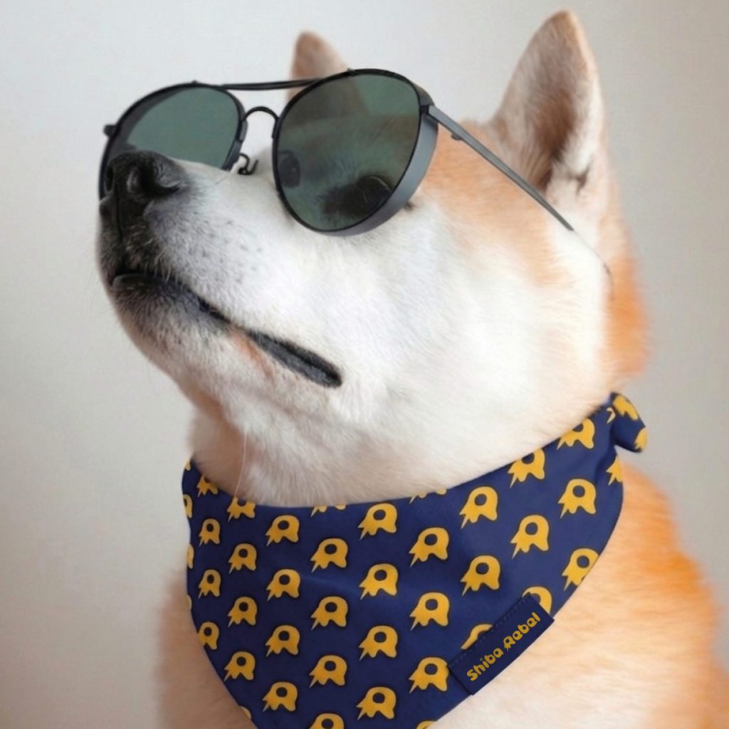 Ein Shiba Inu mit Sonnenbrille und einem Halstuch mit dem Shiba Rebel Muister | Kremer Signature Design